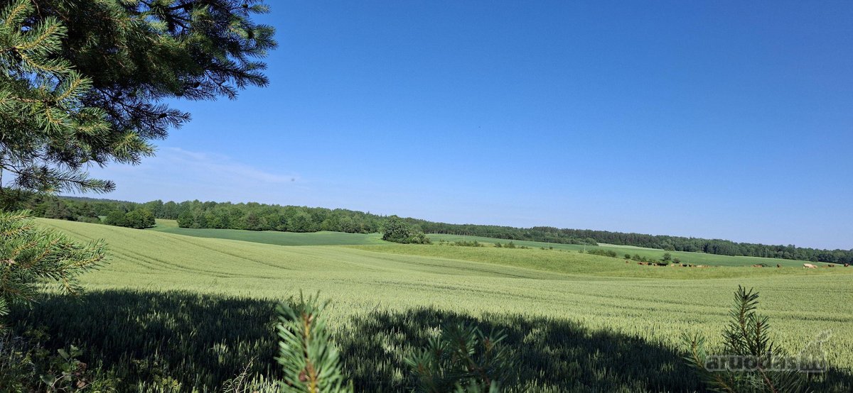 Unikalaus griožio ir vietos sodyba. Šalia - nuotraukos Nr. 5