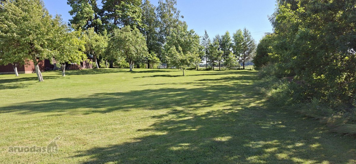 Unikalaus griožio ir vietos sodyba. Šalia - nuotraukos Nr. 9