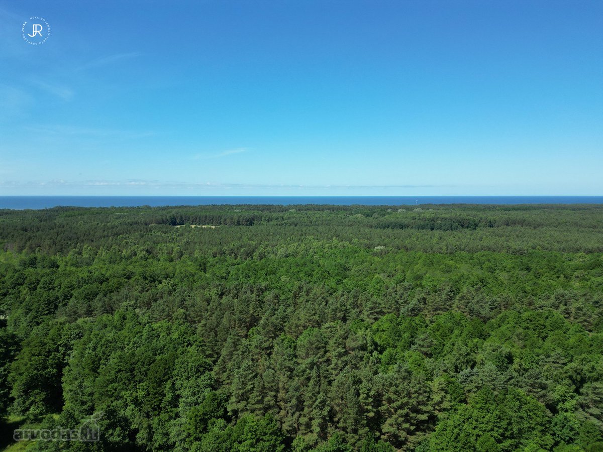 Parduodamas itin retas objektas Palangoje – - nuotraukos Nr. 8