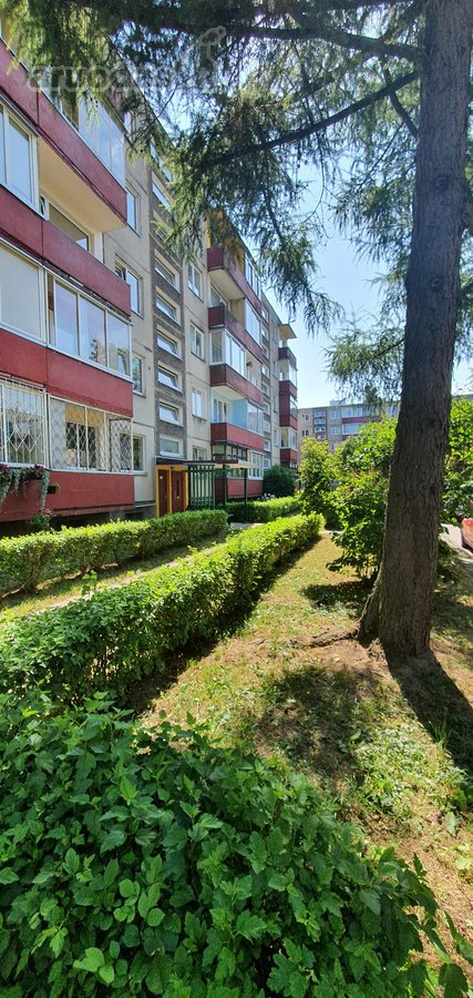Nt brokerių paslaugos nedomina - nuotraukos Nr. 13