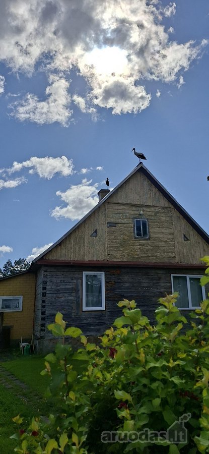 Unikalaus griožio ir vietos sodyba. Šalia - nuotraukos Nr. 13