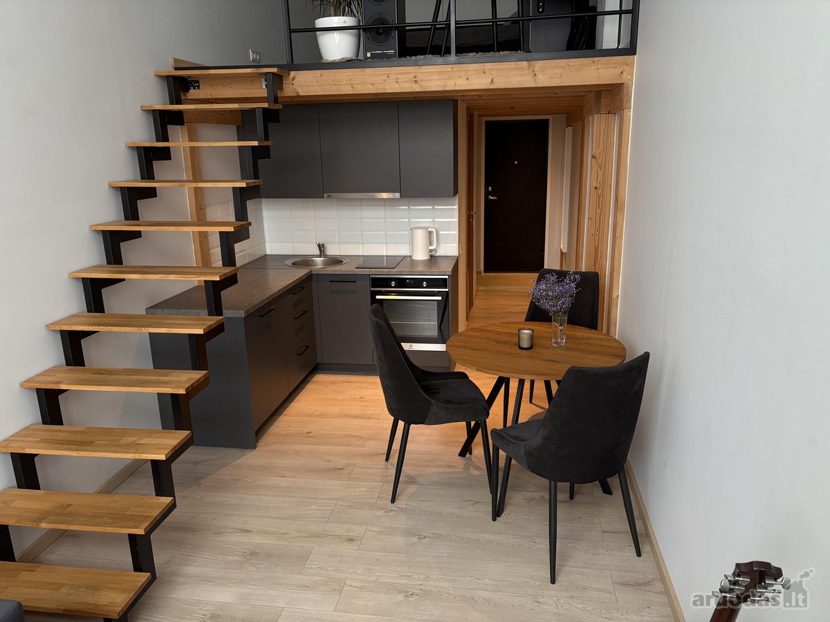 Jaukus Ir Prižiūrėtas Loftas Titnago G. – - nuotraukos Nr. 5