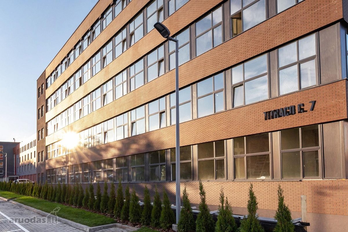 Jaukus Ir Prižiūrėtas Loftas Titnago G. – - nuotraukos Nr. 18
