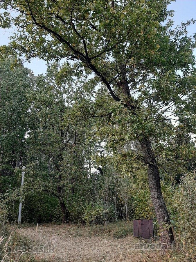 Parduodamas 18 ha natūralaus kraštovaizdžio - nuotraukos Nr. 5