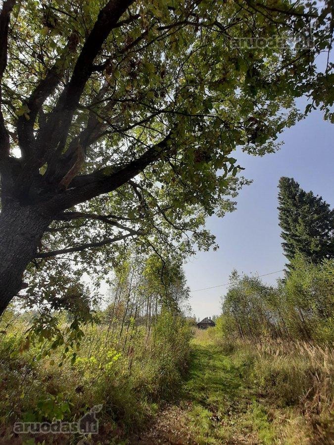 Parduodamas 18 ha natūralaus kraštovaizdžio - nuotraukos Nr. 7