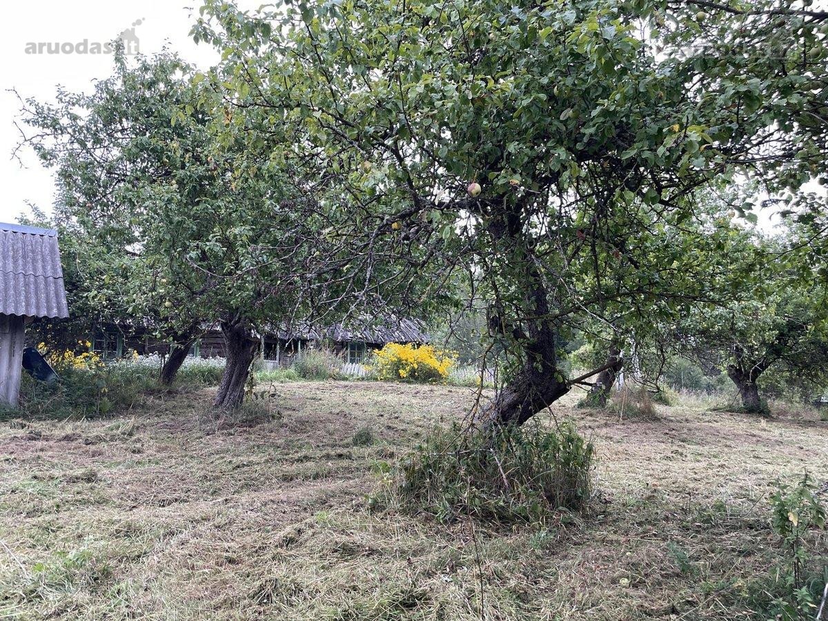 Parduodamas 18 ha natūralaus kraštovaizdžio - nuotraukos Nr. 6