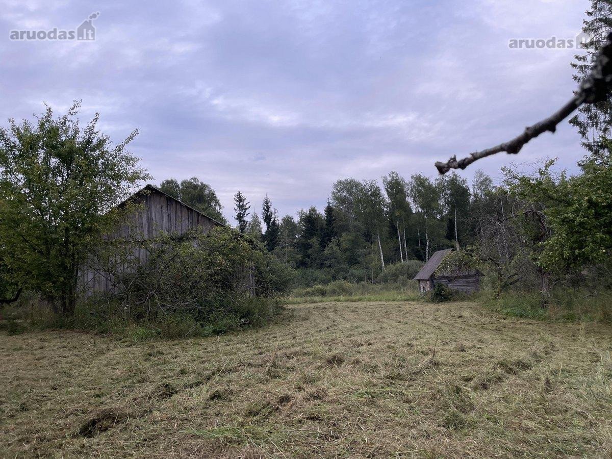 Parduodamas 18 ha natūralaus kraštovaizdžio - nuotraukos Nr. 10
