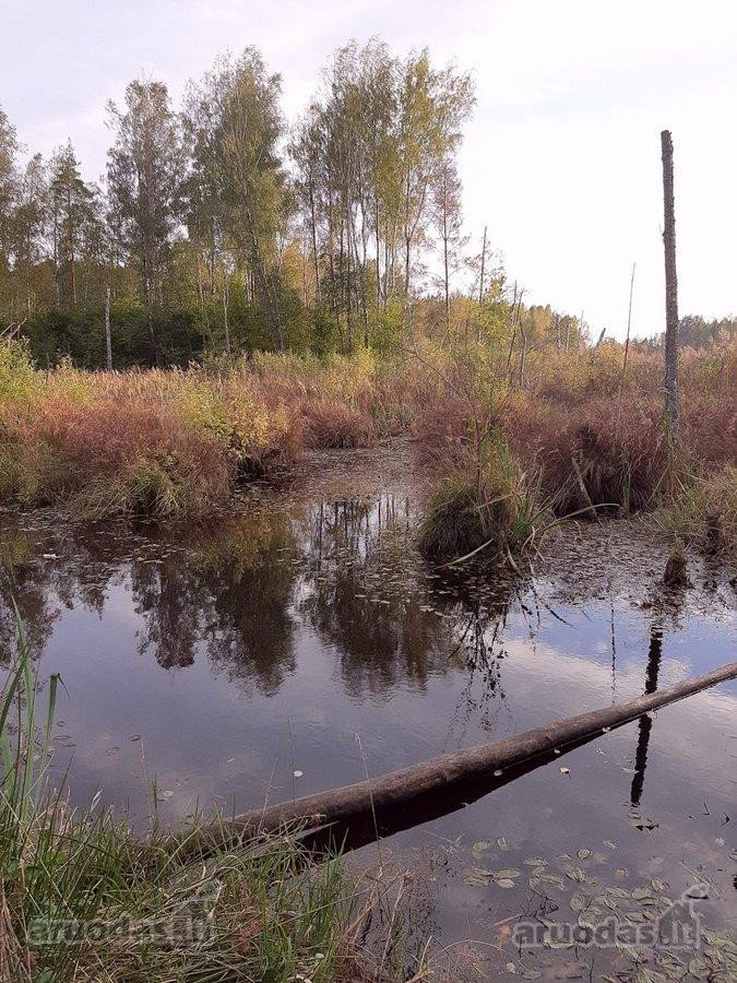 Parduodamas 18 ha natūralaus kraštovaizdžio - nuotraukos Nr. 11