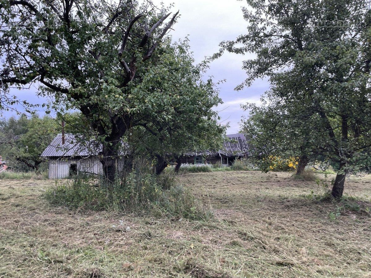 Parduodamas 18 ha natūralaus kraštovaizdžio - nuotraukos Nr. 8