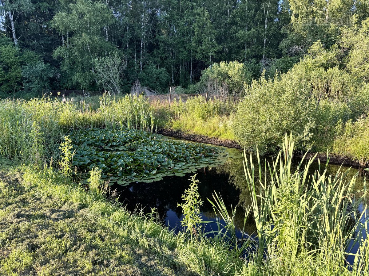Parduodamas 12 arų sklypas Šiaulių r. Bubių - nuotraukos Nr. 5