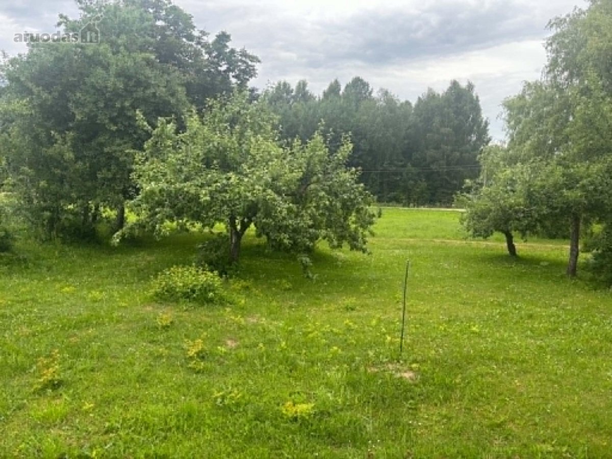 Parduodama Erdvi Sodyba Su 0,7722 Ha Sklypu - nuotraukos Nr. 6