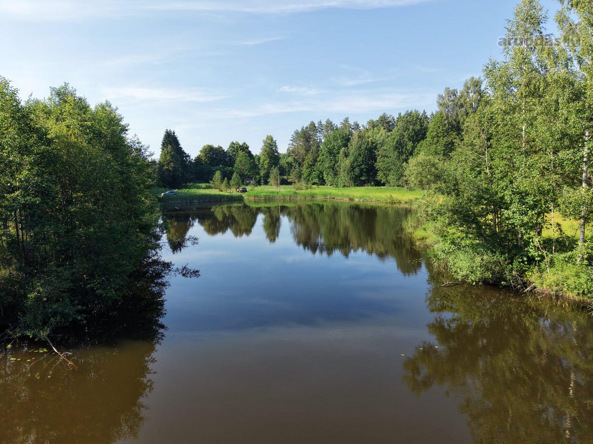 Parduodamas 3,94 ha namų valdos, žemės ūkio, - nuotraukos Nr. 5
