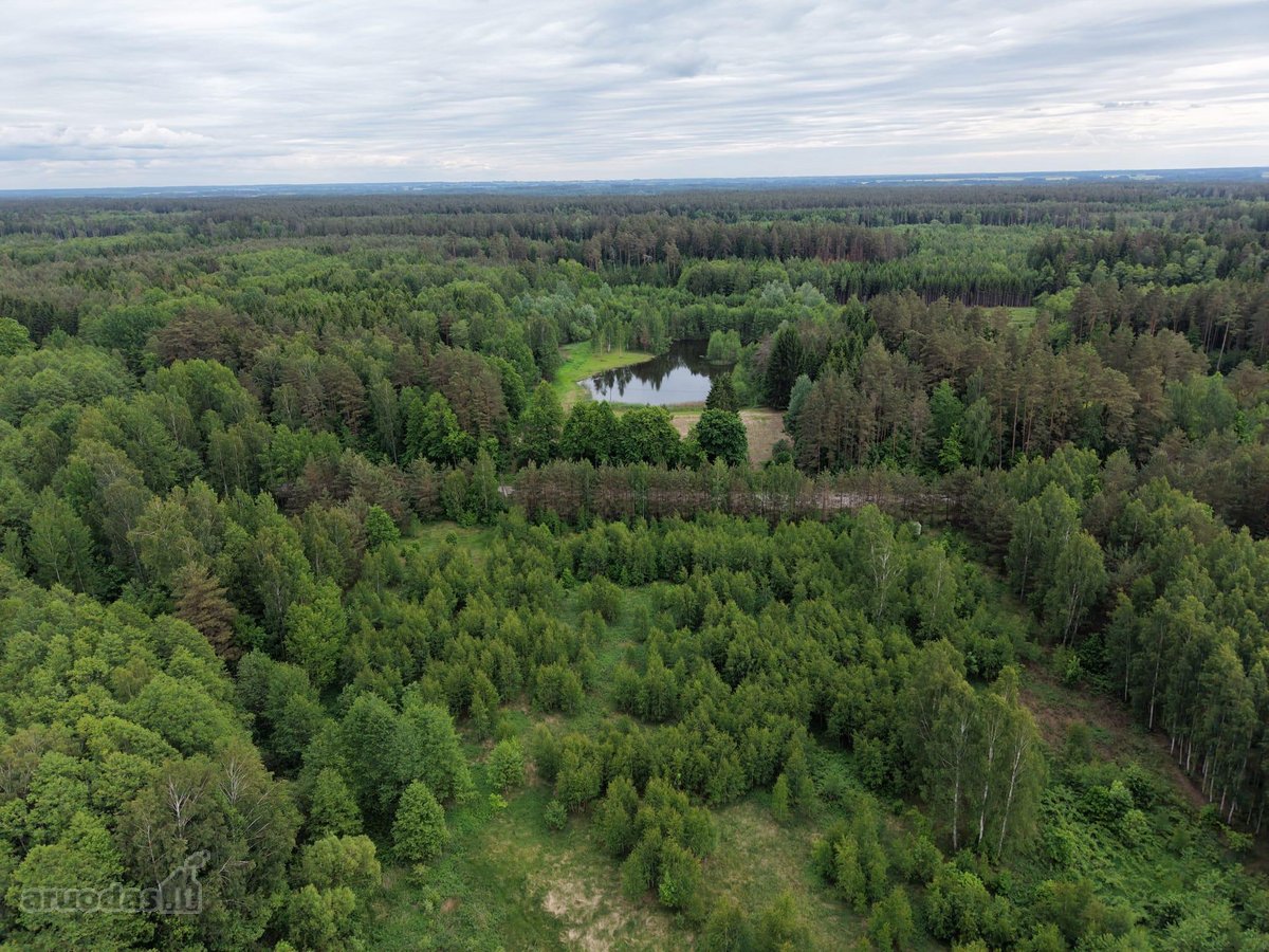 Parduodamas 3,94 ha namų valdos, žemės ūkio, - nuotraukos Nr. 6