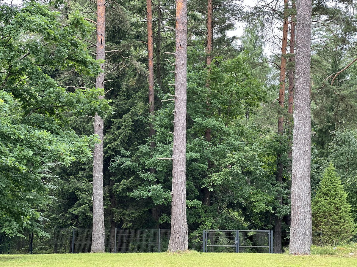 Sklypas yra susiformavusioje, uždaroje - nuotraukos Nr. 2