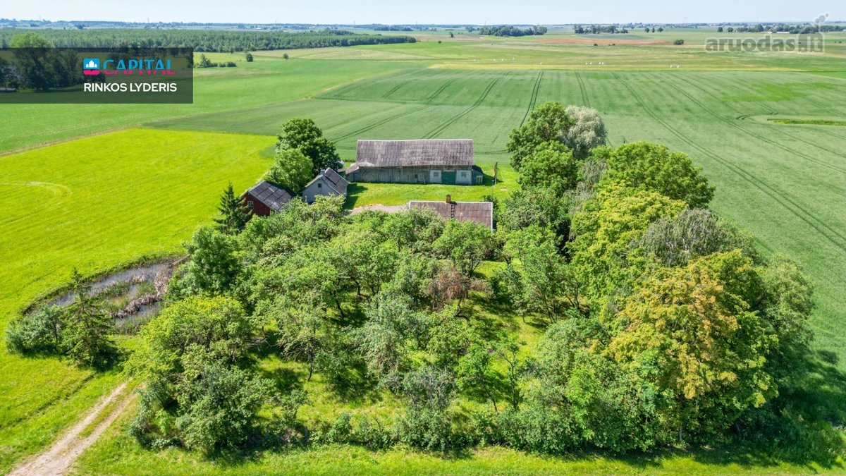Parduodama Sodyba Su 49,61 Arų Sklypu – - nuotraukos Nr. 37
