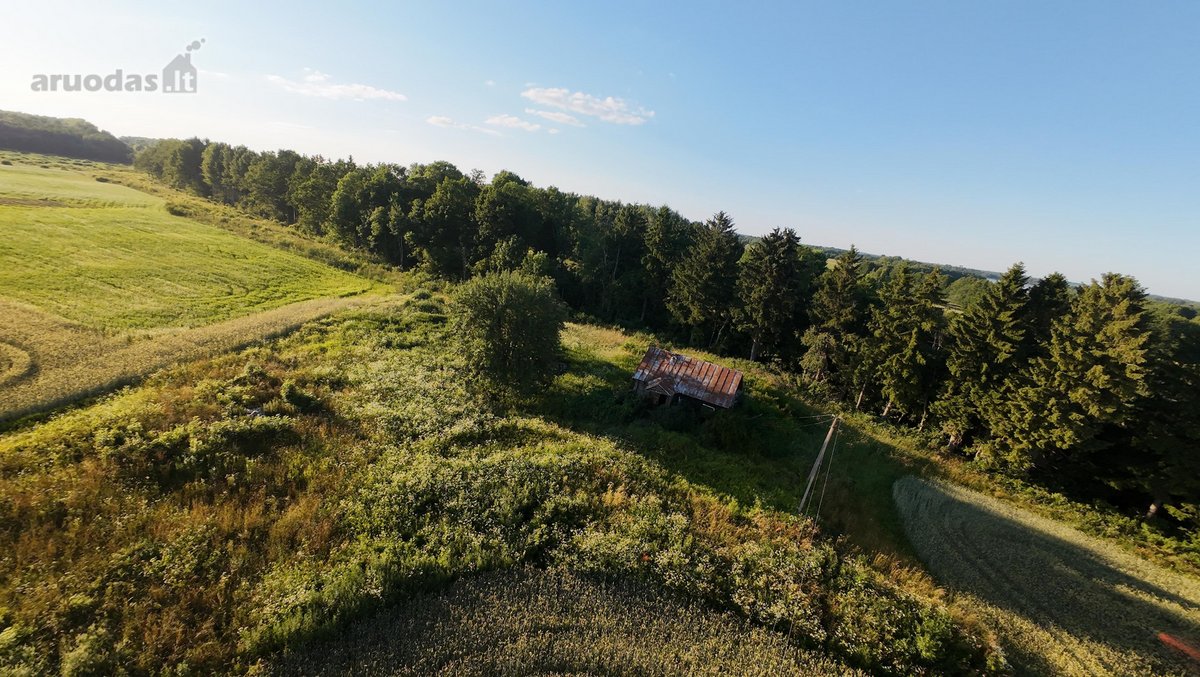 Parduodamas žemės ūkio paskirties sklypas su - nuotraukos Nr. 4