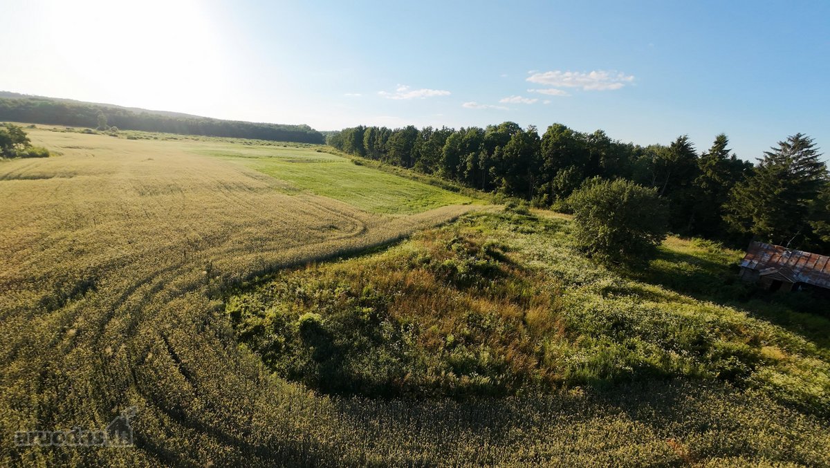 Parduodamas žemės ūkio paskirties sklypas su - nuotraukos Nr. 5