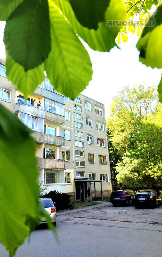 Nuo rugpjūčio 1D., nuomojamas tvarkingas ir