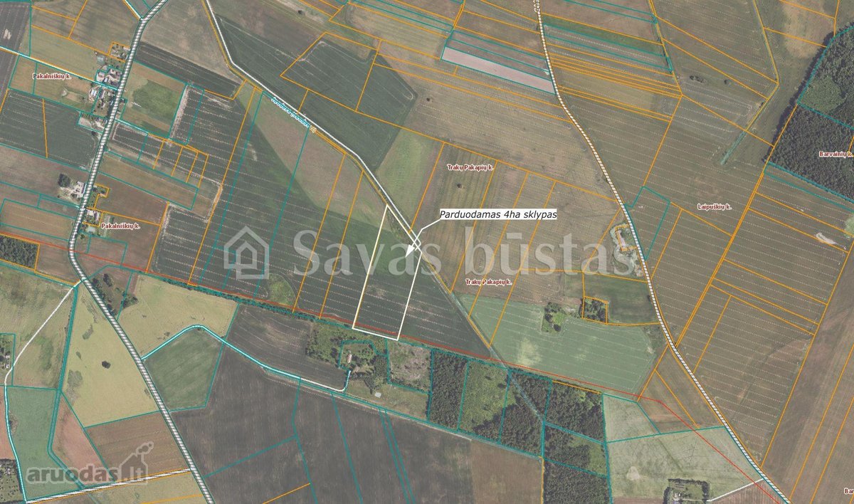 Parduodami du sklypai 4 ha ir 2,06 ha žemės - nuotraukos Nr. 4