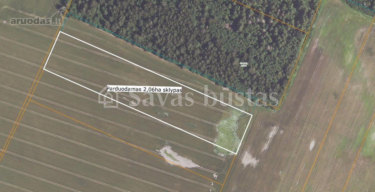 Parduodami du sklypai 4 ha ir 2,06 ha žemės - nuotraukos Nr. 6