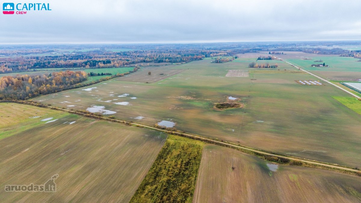 Vienoje vietoje parduodami trys žemės ūkio - nuotraukos Nr. 2