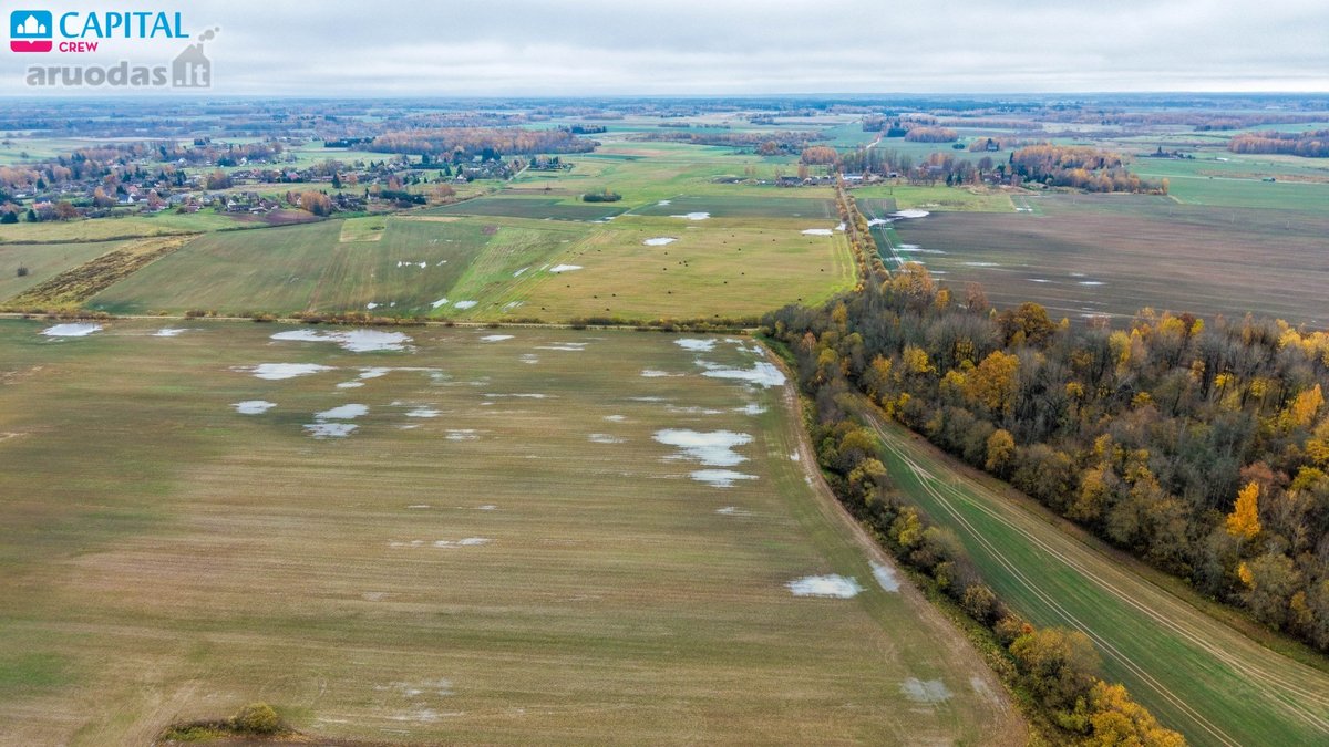 Vienoje vietoje parduodami trys žemės ūkio - nuotraukos Nr. 10