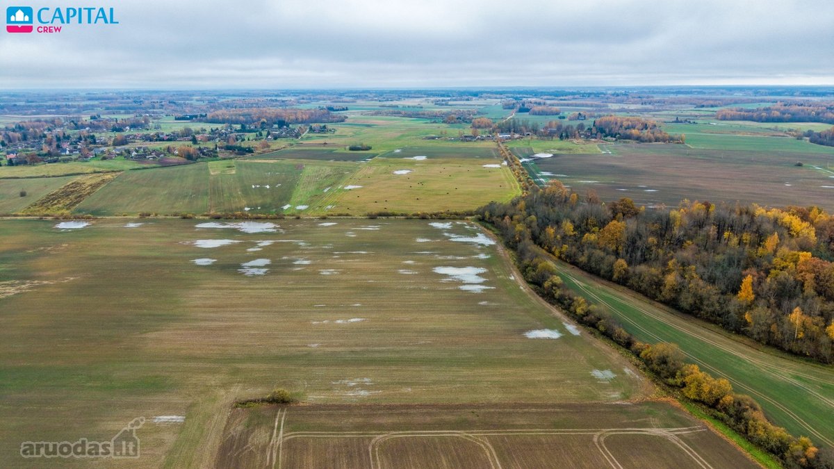 Vienoje vietoje parduodami trys žemės ūkio - nuotraukos Nr. 11