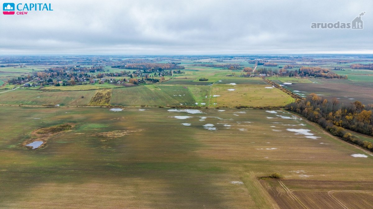 Vienoje vietoje parduodami trys žemės ūkio - nuotraukos Nr. 12