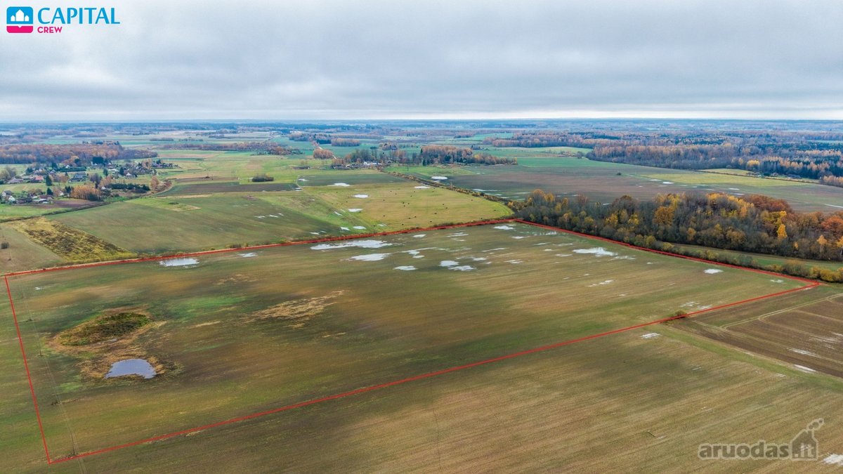 Vienoje vietoje parduodami trys žemės ūkio - nuotraukos Nr. 13