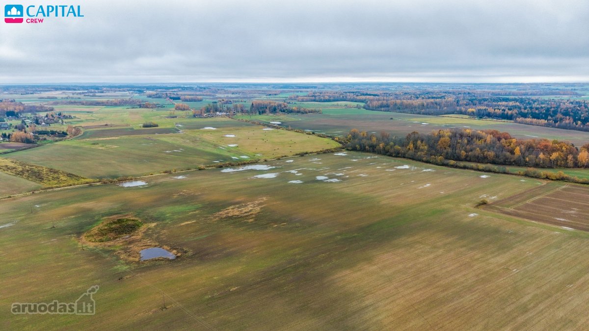 Vienoje vietoje parduodami trys žemės ūkio - nuotraukos Nr. 14