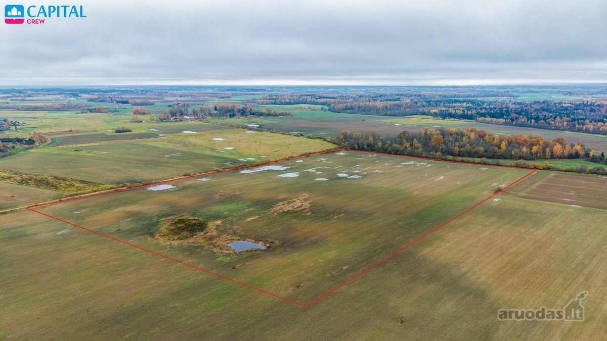 Vienoje vietoje parduodami trys žemės ūkio - nuotraukos Nr. 15