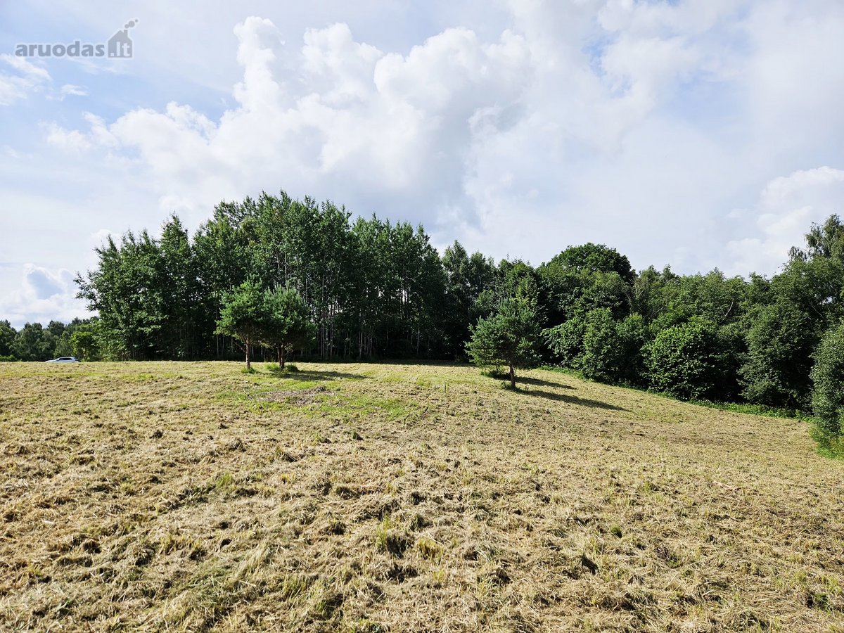 Parduodama sodybvietė 1,327 ha. Sklypas - nuotraukos Nr. 3