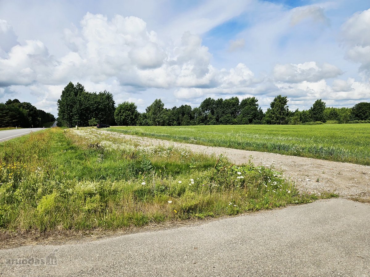 Parduodama sodybvietė 1,327 ha. Sklypas - nuotraukos Nr. 4