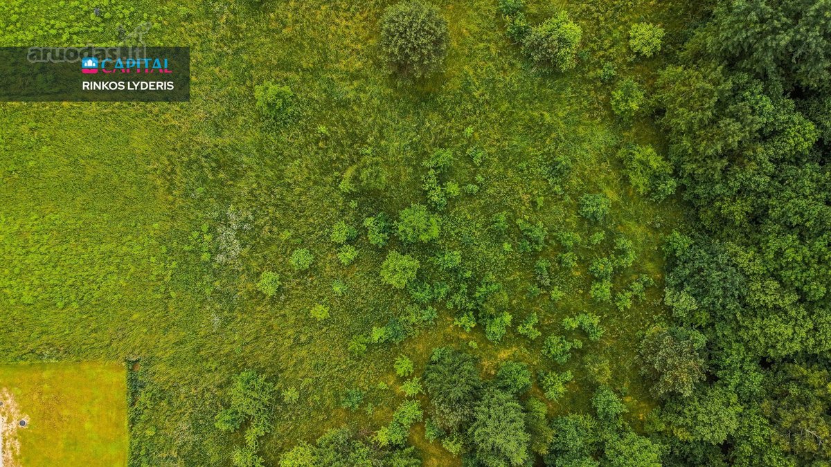 Parduodamas 29 Arų Namų Valdos Sklypas Su - nuotraukos Nr. 12