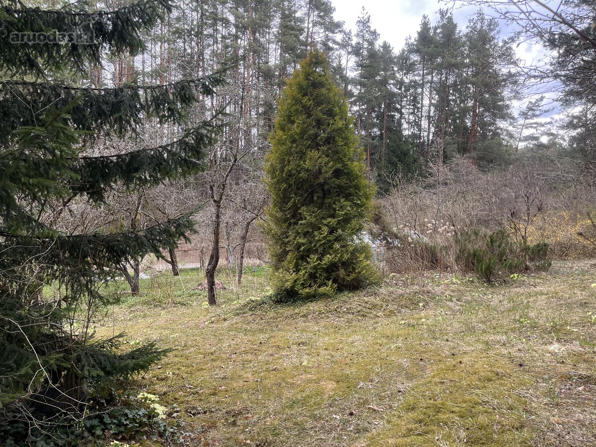 Parduodamas Sklypas Antakalnyje , - nuotraukos Nr. 6
