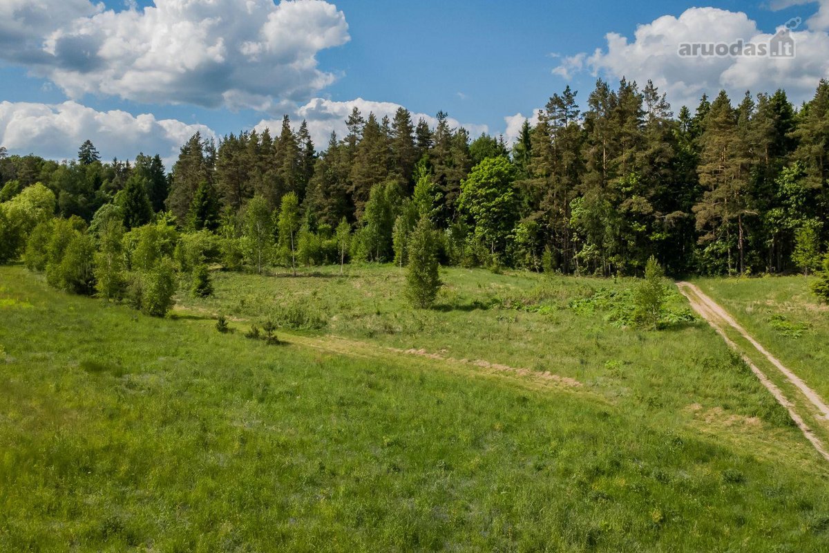 Parduodamas 28,42 aro namų valdos sklypas - nuotraukos Nr. 9