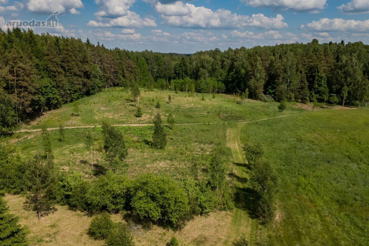 Parduodamas 28,42 aro namų valdos sklypas - nuotraukos Nr. 10
