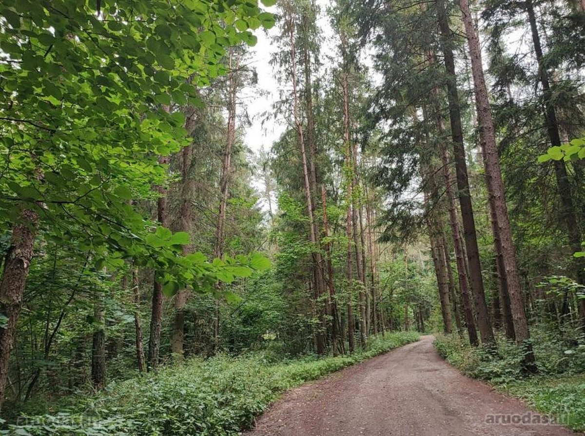Parduodamas 2,08 ha sklypas prie Vilniaus – - nuotraukos Nr. 2