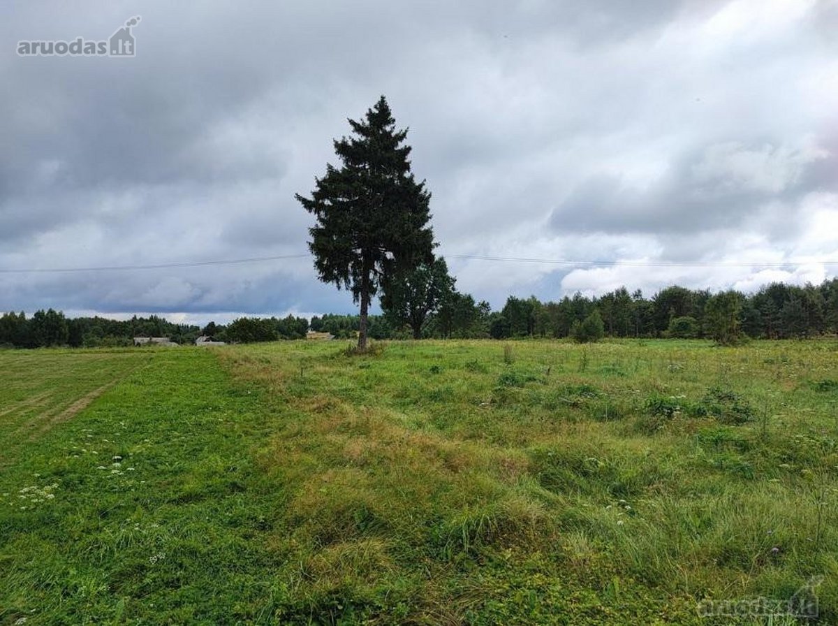 Parduodamas 2,08 ha sklypas prie Vilniaus – - nuotraukos Nr. 14