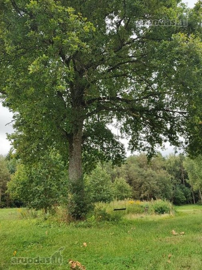 Parduodamas 2,08 ha sklypas prie Vilniaus – - nuotraukos Nr. 8