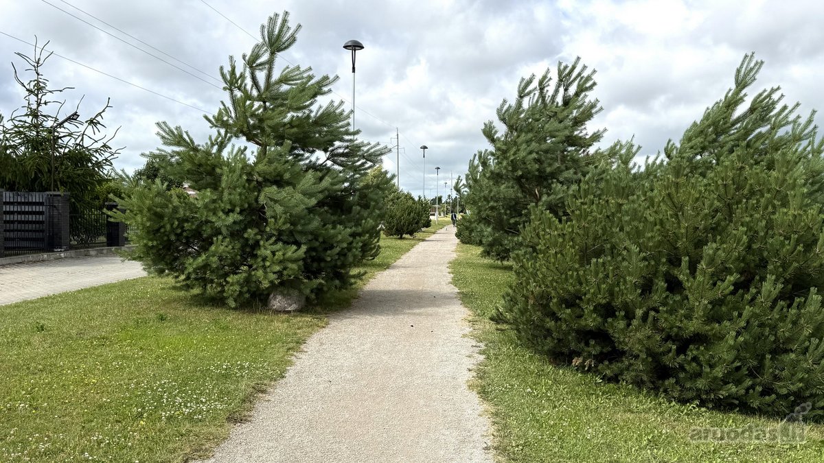 Vieno aukšto namas „Svajonių krantas“ kvartale - nuotraukos Nr. 40