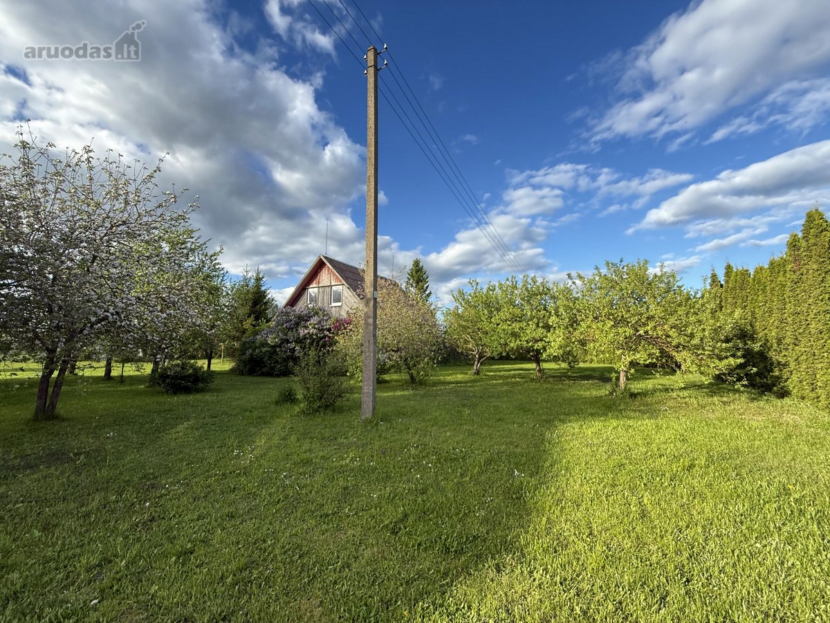 Erdvus gyvenamasis namas su dideliu sklypu ir - nuotraukos Nr. 6