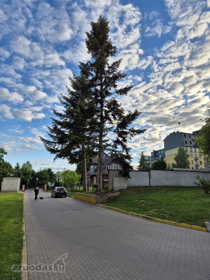 Parduodamas erdvus ir šviesus 3 kambarių (67 - nuotraukos Nr. 22
