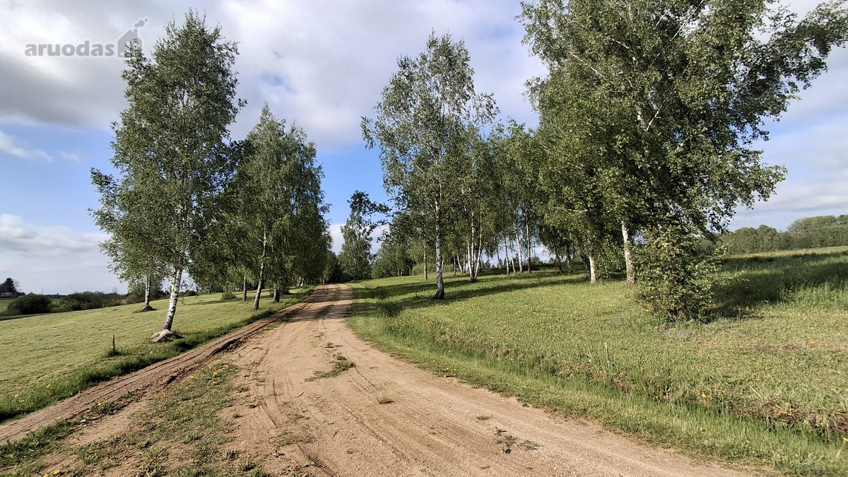 Klovinių kaime, privačioje valdoje pradeda - nuotraukos Nr. 4