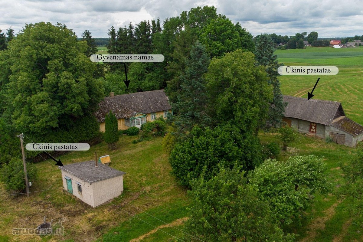 Parduodama autentiška vienkiemio sodyba - nuotraukos Nr. 2