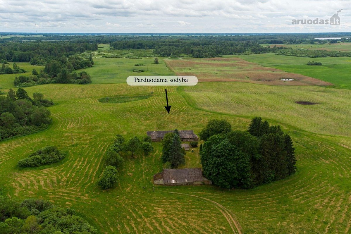 Parduodama autentiška vienkiemio sodyba - nuotraukos Nr. 3