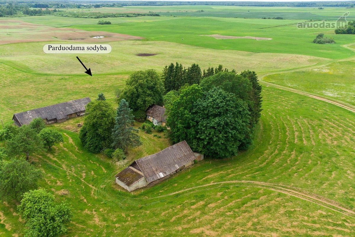 Parduodama autentiška vienkiemio sodyba - nuotraukos Nr. 4
