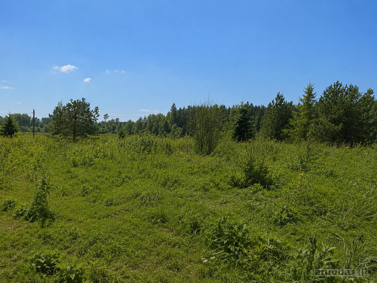 Gudelių k., Vilniaus g., Vilniaus r., 50 a. - nuotraukos Nr. 4