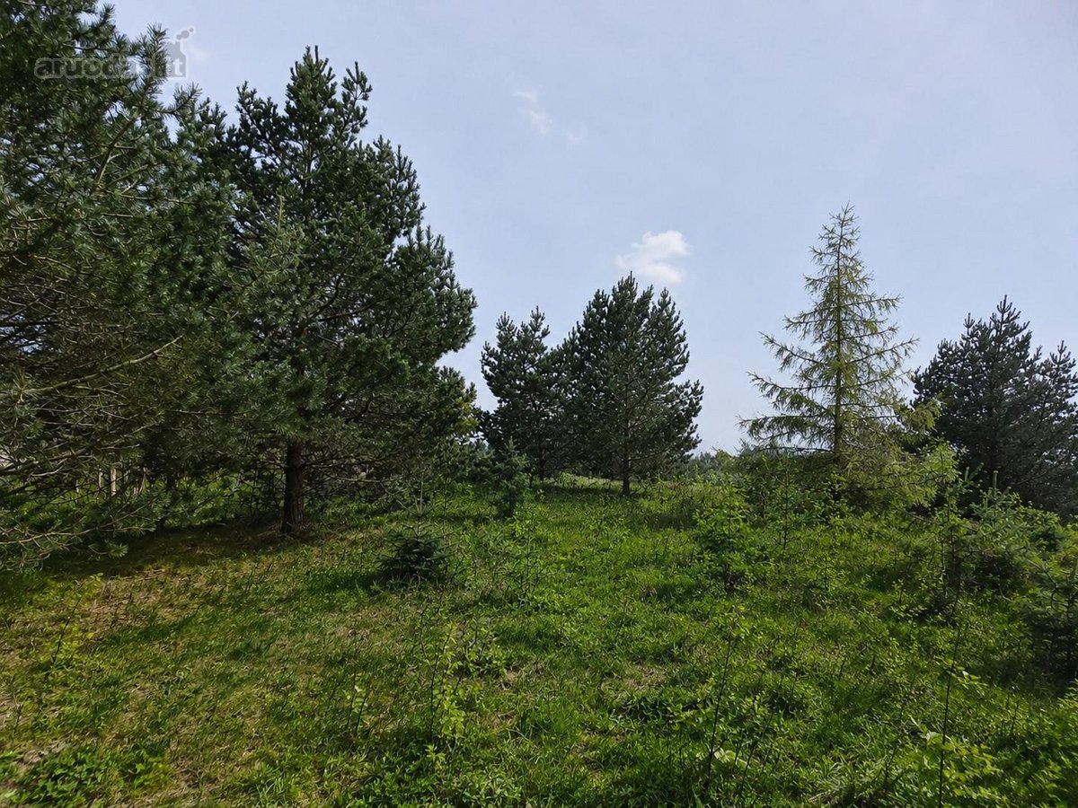 Gudelių k., Vilniaus g., Vilniaus r., 50 a. - nuotraukos Nr. 3