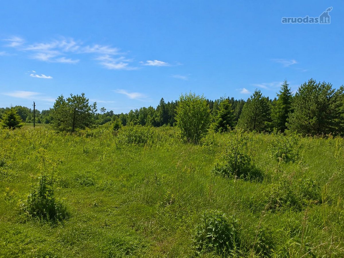 Gudelių k., Vilniaus g., Vilniaus r., 50 a. - nuotraukos Nr. 5